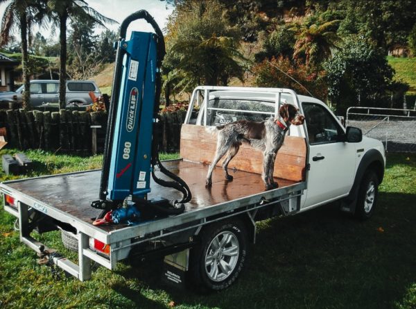 Quicklift® QL080-2 Compact Crane - Image 3