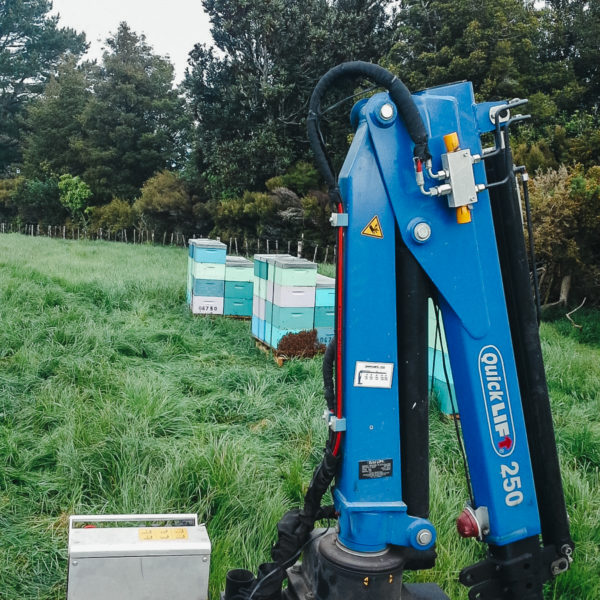 Quicklift® QL250-3 Compact Crane - Image 2