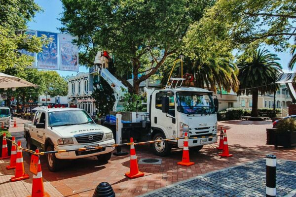 Linelift® DHT150S on Isuzu NQR500 4x2 Truck - Image 9