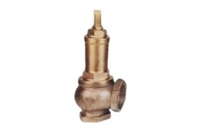 Pressure Relief Valve - Teflon Seat