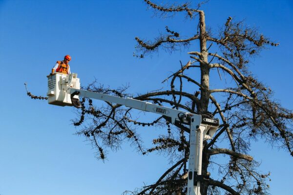 Versalift VST47 on Hino FG1628 Arborist Truck - Image 3