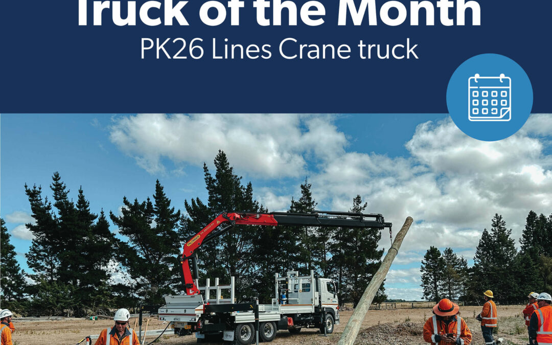  Truck of the month: PK26 Lines crane truck